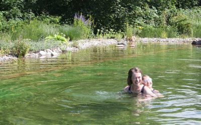 Min artikel om GAPS, Gut and Psychology Syndrome